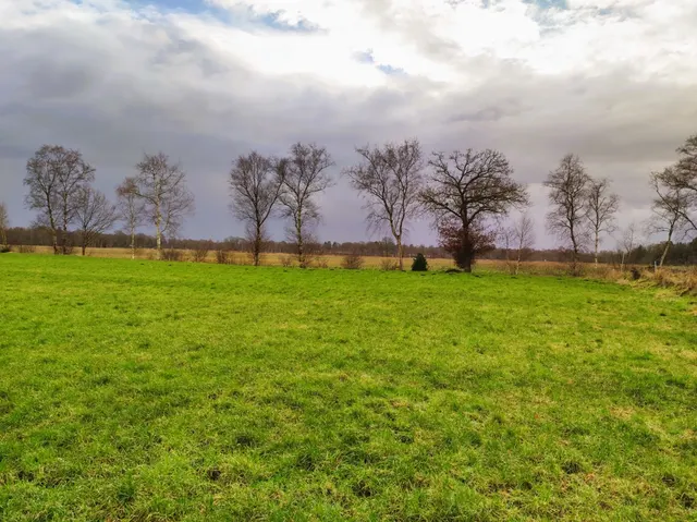 Weideland