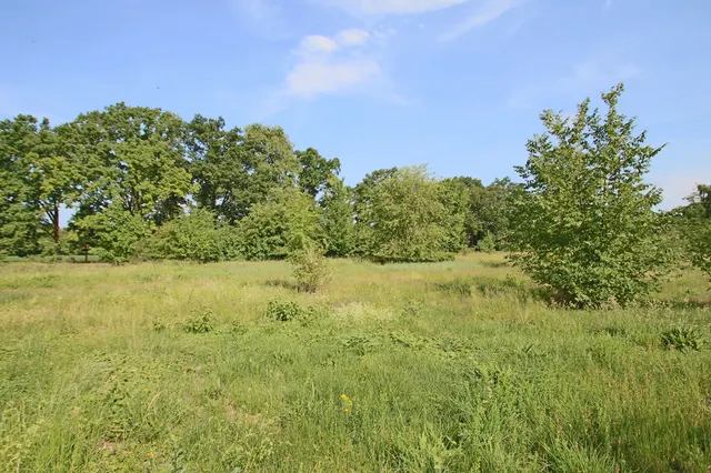 Blick aus Nord-West
