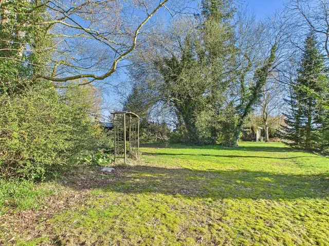 mittlerer Gartenbereich (2)