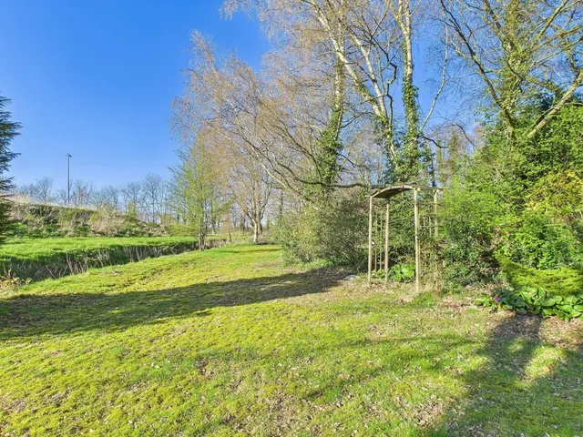 seitlicher Gartenbereich