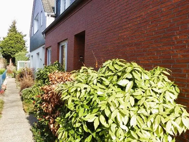 Seitenansicht