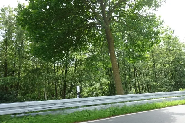Straßenseite