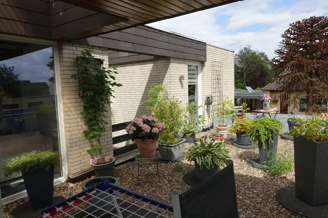Dachterrasse