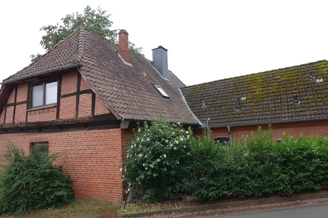 Rückseite