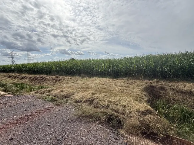 Gemarkung Eissel bei Verden: Gut geschnittene Ackerfläche zur Größe von 15.428 m² im Bieterverfahren