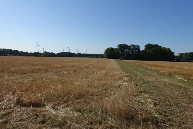 Acker rechts und links vom Weg