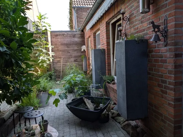 Terrasse (Rückseite der Immobilie)
