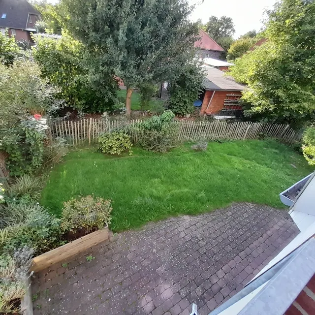 Blick in den Garten