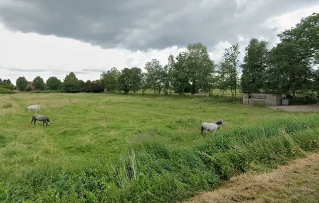 Ansicht 1