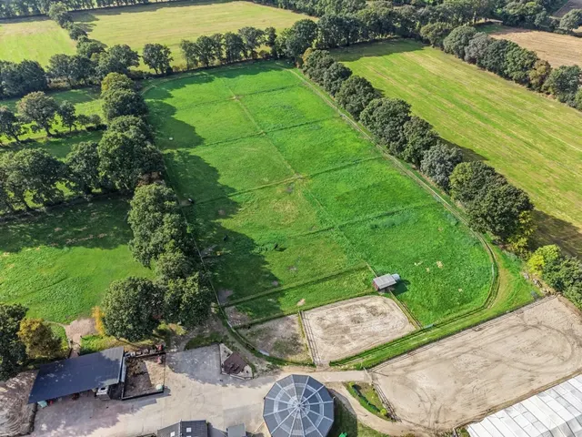 Luftbild Weideflächen