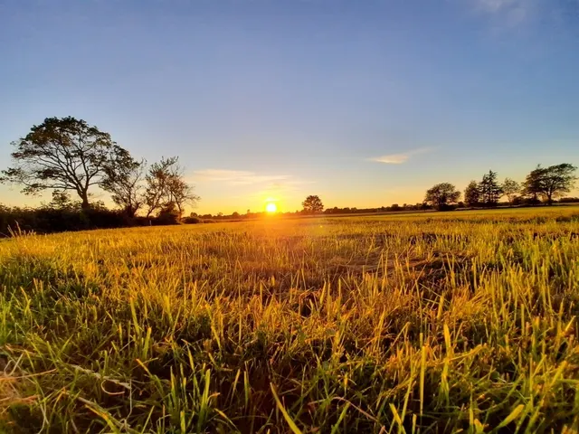Sonnenuntergang über dem Feld